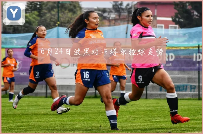 6月24日波黑对卡塔尔控球走势