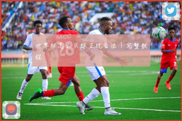 世界杯怎么买球正规合法｜完整教程