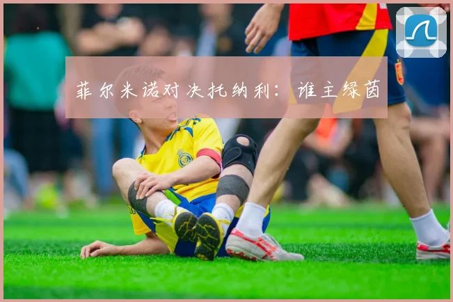菲尔米诺对决托纳利：谁主绿茵