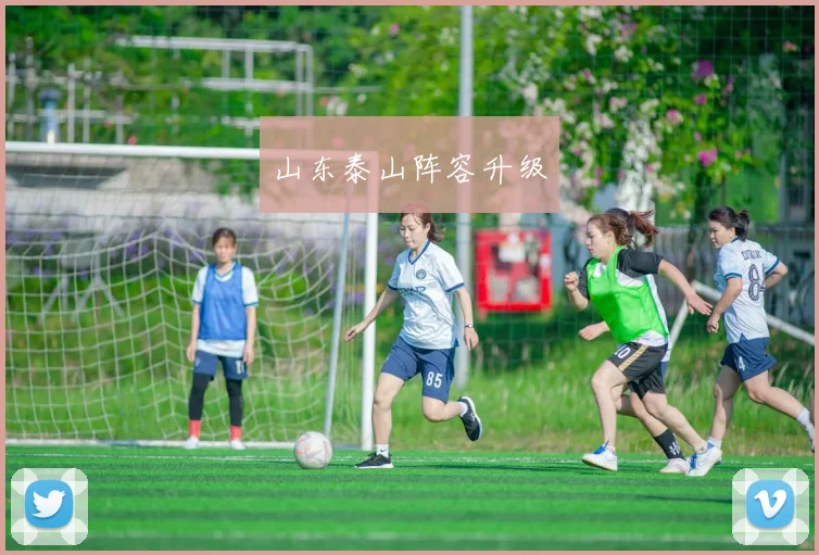 山东泰山阵容升级