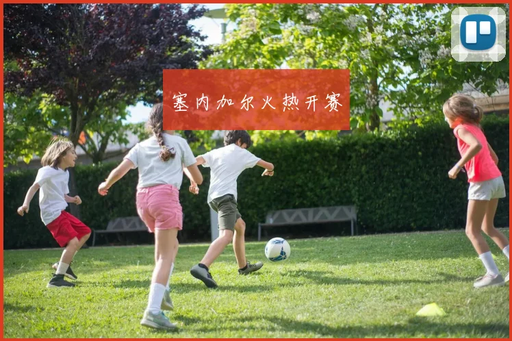塞内加尔火热开赛