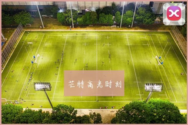 芒特高光时刻