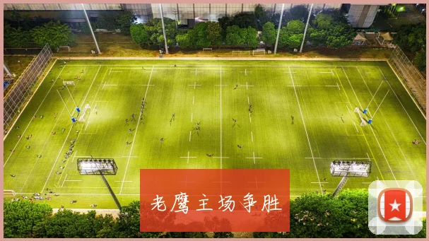 老鹰主场争胜
