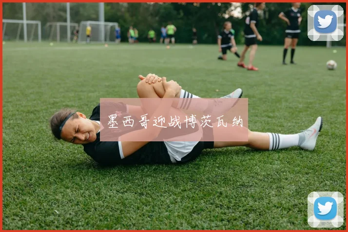 墨西哥迎战博茨瓦纳