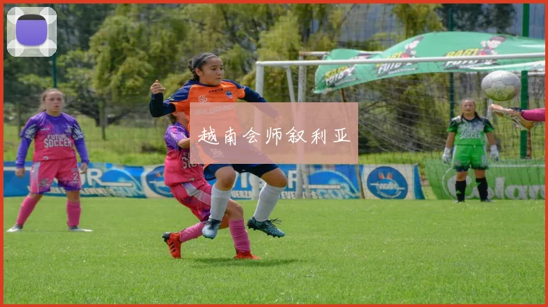越南会师叙利亚