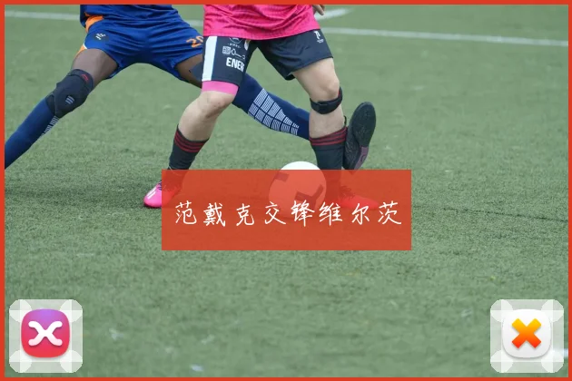 范戴克交锋维尔茨