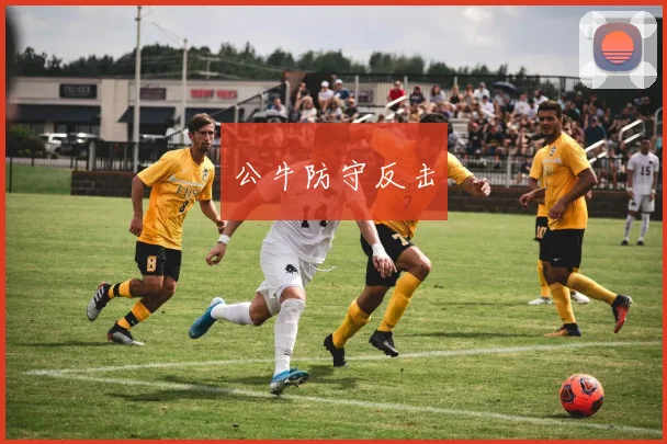 公牛防守反击