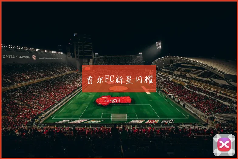 首尔FC新星闪耀