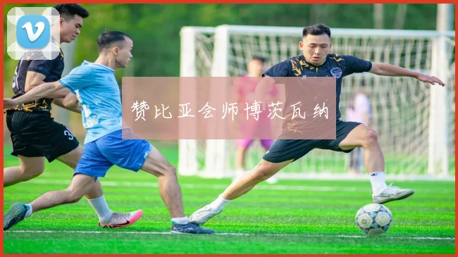 赞比亚会师博茨瓦纳