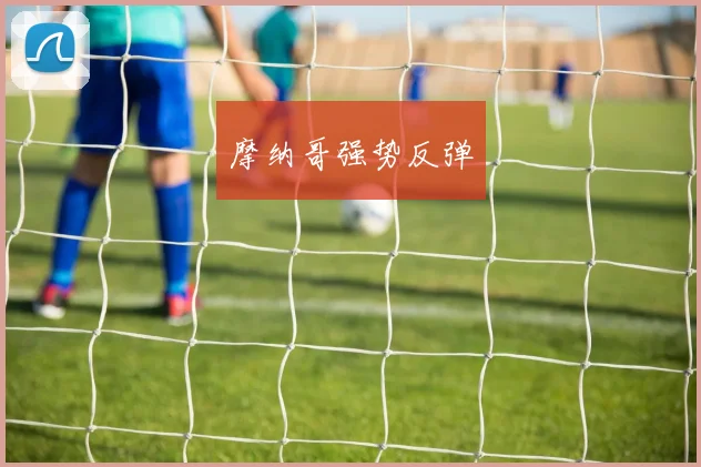 摩纳哥强势反弹