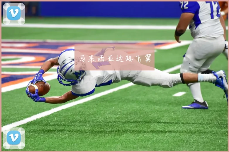 马来西亚边路飞翼