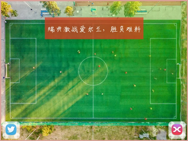 瑞典激战爱尔兰，胜负难料
