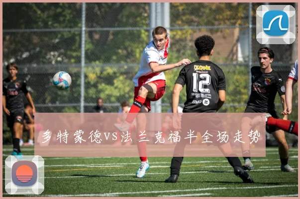 多特蒙德vs法兰克福半全场走势