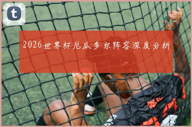 2026世界杯厄瓜多尔阵容深度分析